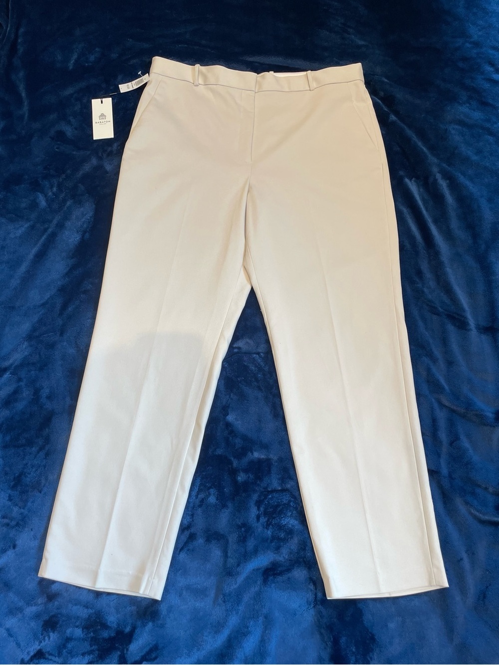 NWT Babaton Command Pant Matte Pearl